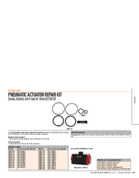 Thumbnail of document Data Sheet - ARK Pneumatic Actuator Repair Kit